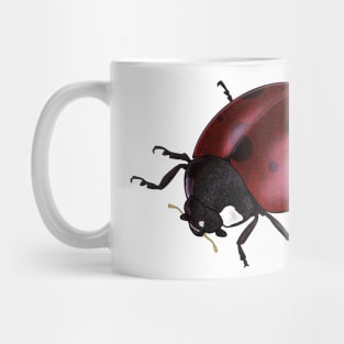 Lady(bug) in Red Mug